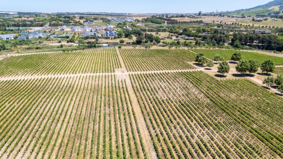 0 Bedroom Property for Sale in Val De Vie Estate Western Cape